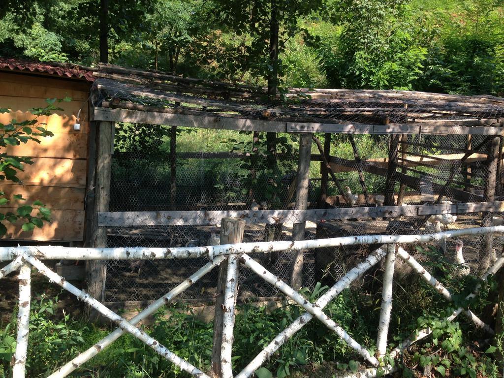 Gasthaus Maria Borlova 外观 照片