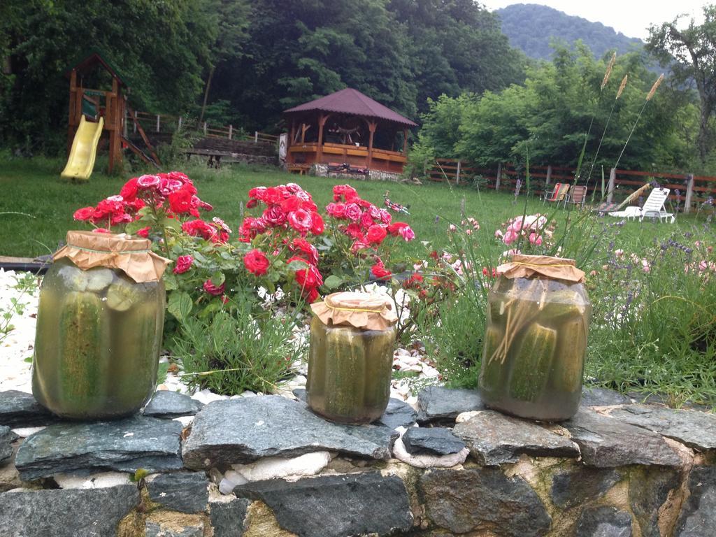Gasthaus Maria Borlova 外观 照片