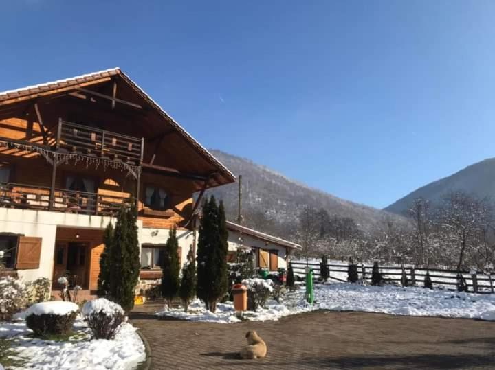 Gasthaus Maria Borlova 外观 照片