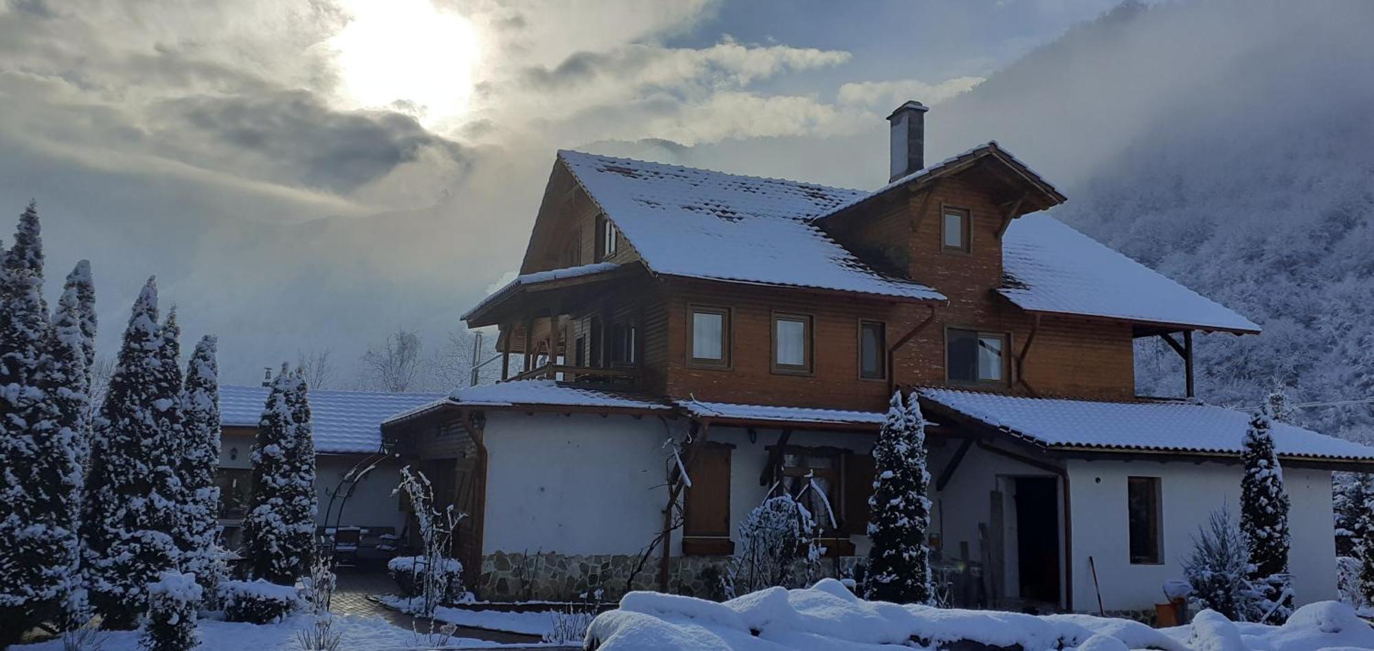 Gasthaus Maria Borlova 外观 照片