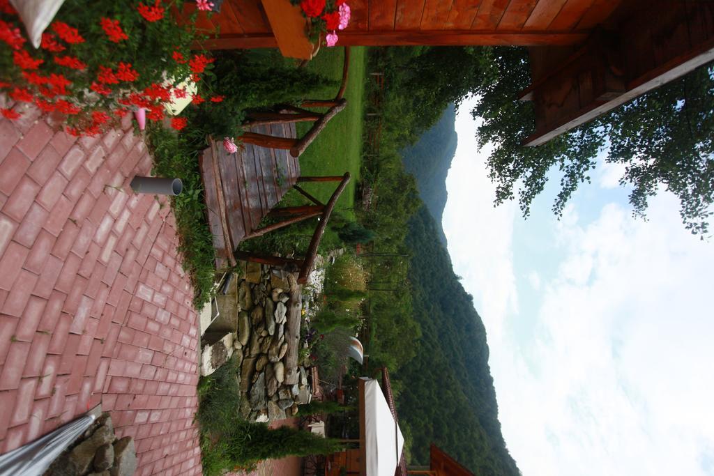 Gasthaus Maria Borlova 外观 照片