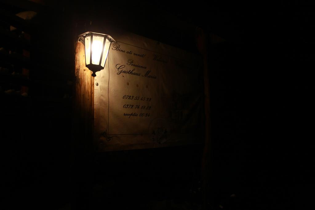 Gasthaus Maria Borlova 外观 照片