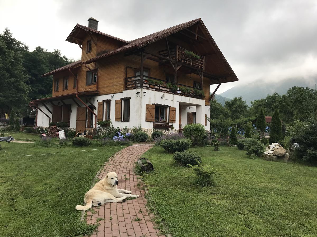 Gasthaus Maria Borlova 外观 照片